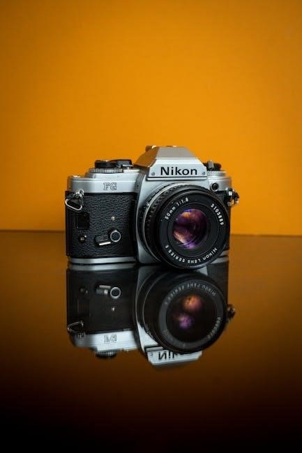 nikon d80 user manual