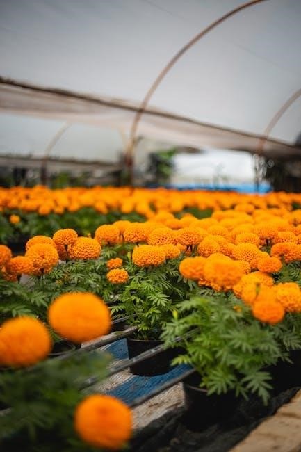 the secret of the golden flower pdf