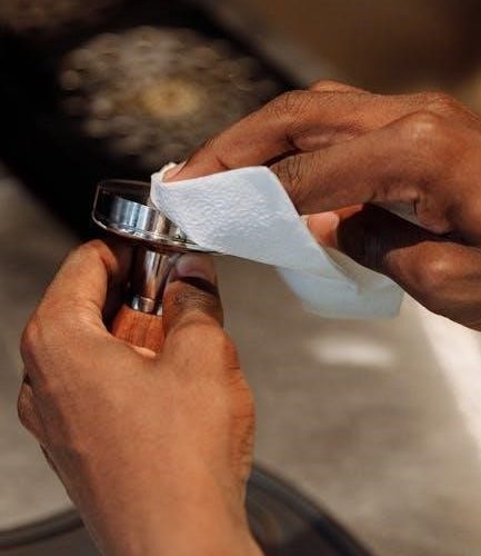 sage barista express instruction manual