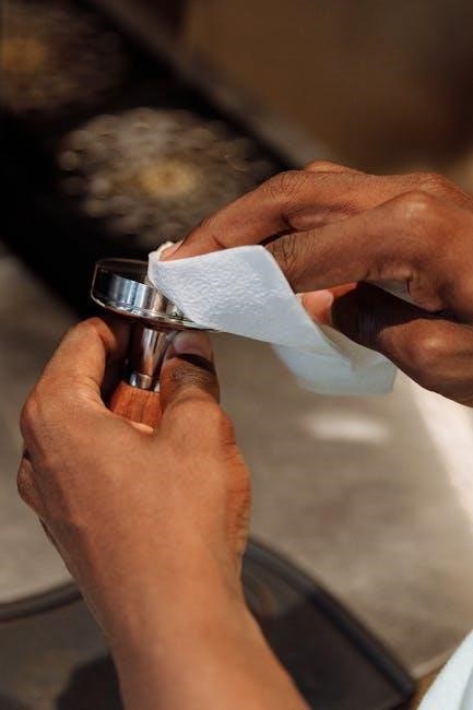 sage barista express instruction manual